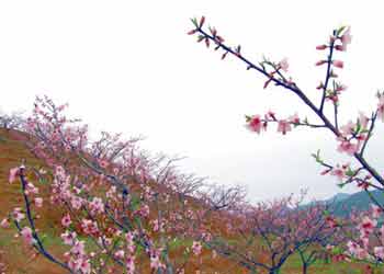 李荣浩个人资料简介及全名(李荣浩简历个人资料简介)