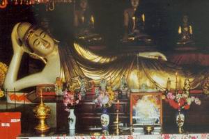生肖表十二顺序金木水火土