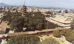 今晚开码生肖是什么(开小码是什么生肖)