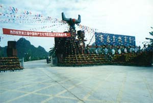寻龙诀预告片(天坑寻龙预告片)